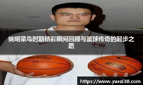 NG娱乐