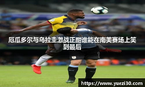 NG娱乐